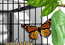 ¡PERO ESTO NO ES TIERRA!