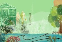 UN INVERNADERO PARA LA ESCUELA, PARA LA COMUNIDAD, PARA EL AMBIENTE Invernaderos