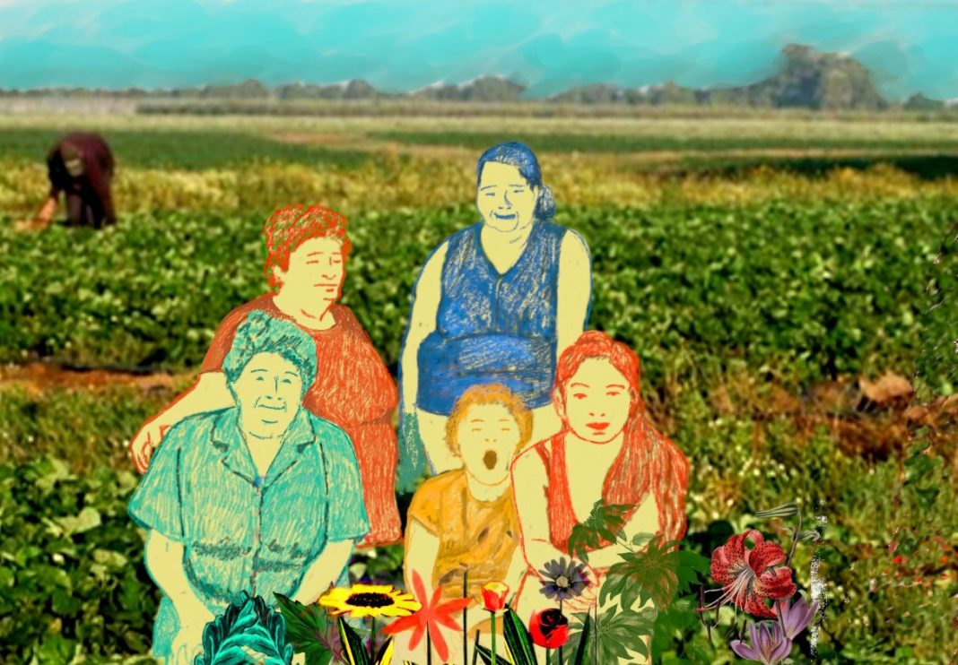 yo-mujer-en-comunidad yo-mujer-en-comunidad